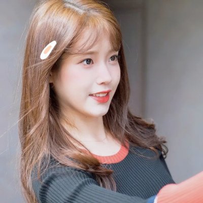 小狗丹的物语